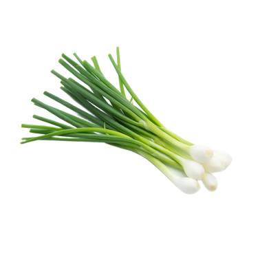 Spring Onion