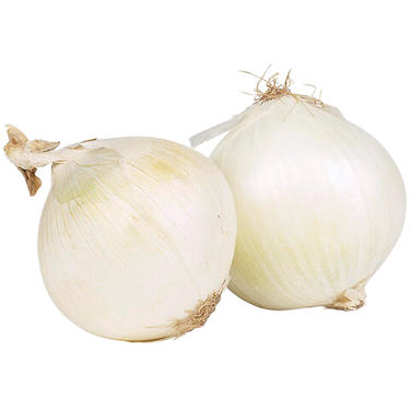 Large White Onion Spain