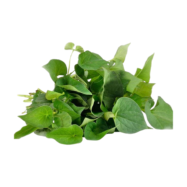 Fish Mint (Rau Dap Ca) 100G (Chilled)