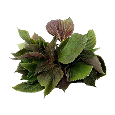 Perilla (Tia To) 100G (Chilled)