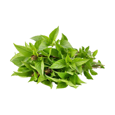 Basil (Hung Que) 100G (Chilled)