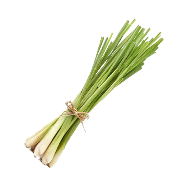 Lemon Grass (Sa Cay) 200G (Chilled)