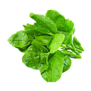 Ceylon Spinach (Mong Toi) 200G (Chilled)