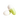 Korean Radish